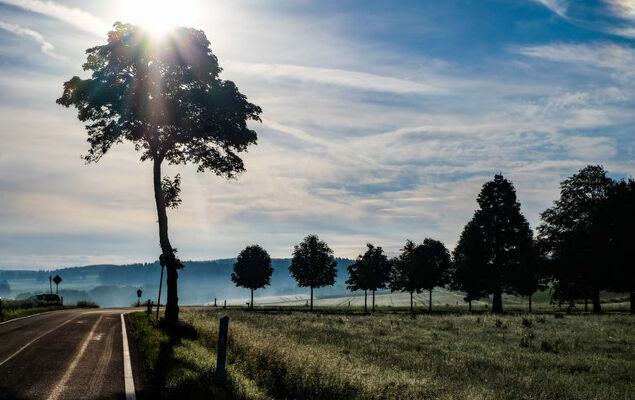 Reinskopf - Photo 49