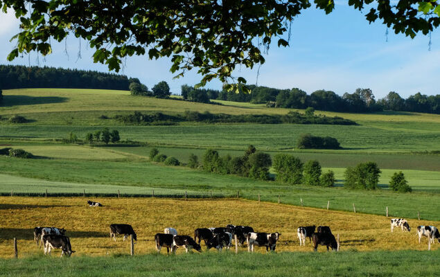 Reinskopf - Photo 51