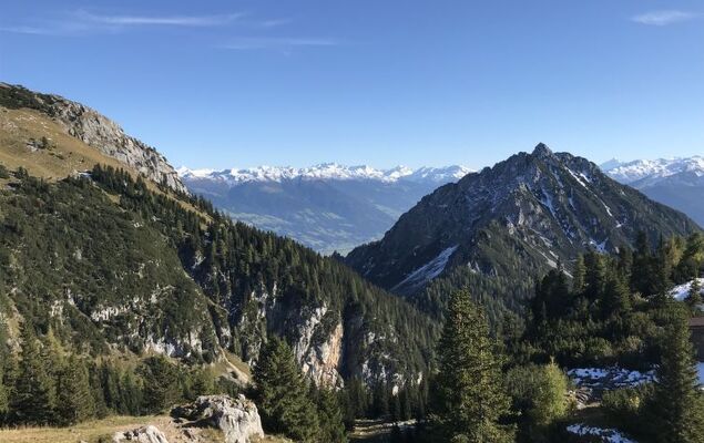 Guffertblick - Photo 27