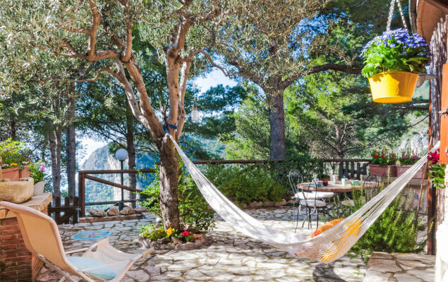 Rosa Marina - Photo 13