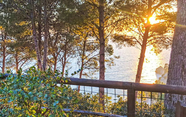 Rosa Marina - Photo 14