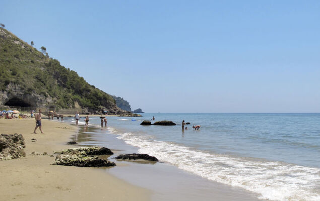 Rosa Marina - Photo 16