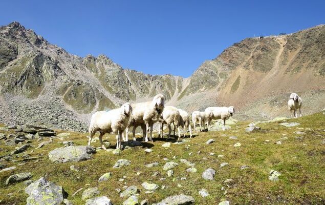 Appartement Ötztaler Alpen - Photo 31