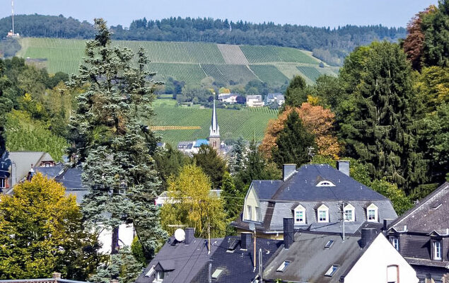 Weingut Krempel - Photo 20