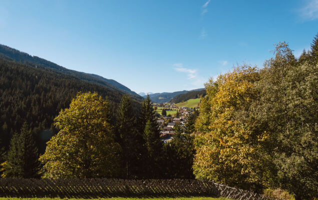 Rossbrand - Photo 27