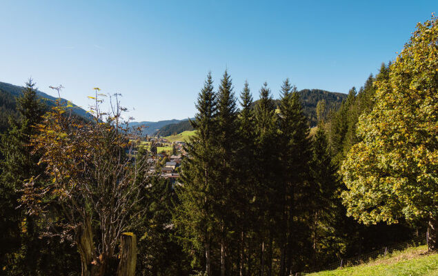 Rossbrand - Photo 32