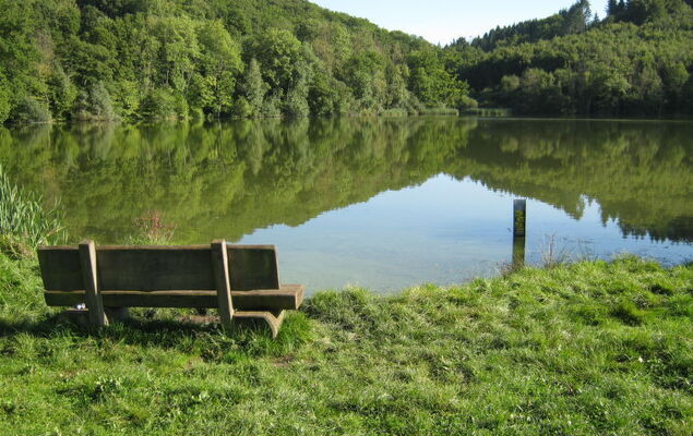 Eifelnatur (Haus 1) - Photo 43