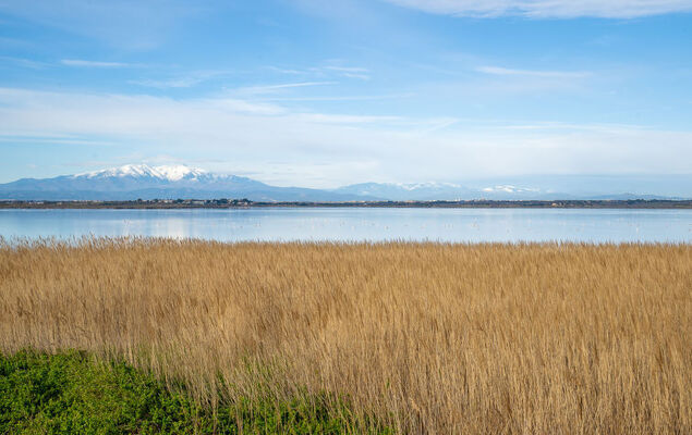 Les Terrasses du Levant - Photo 21